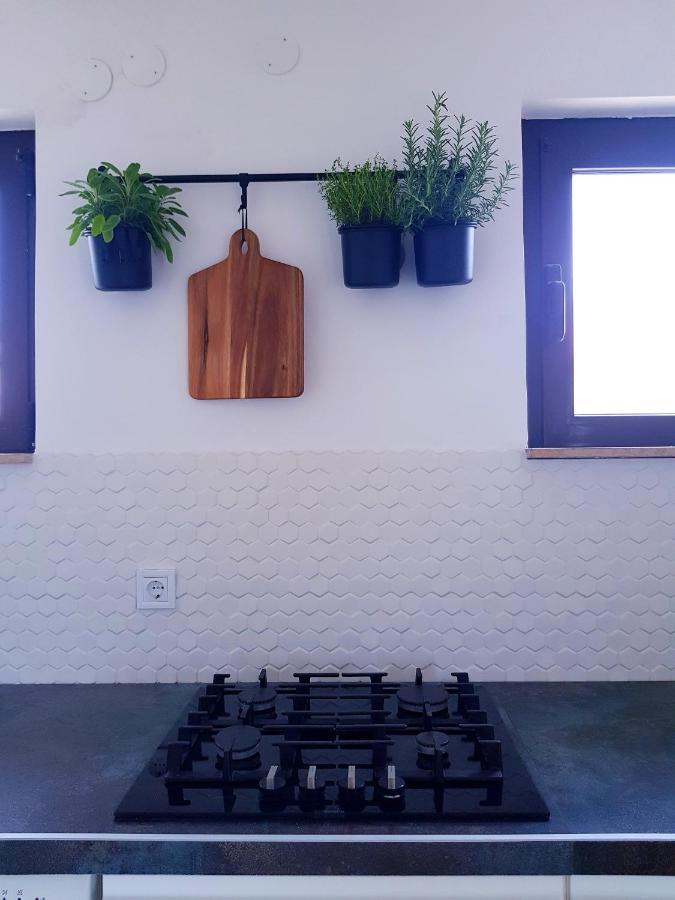 Apartment Sea View ロヴィニ エクステリア 写真